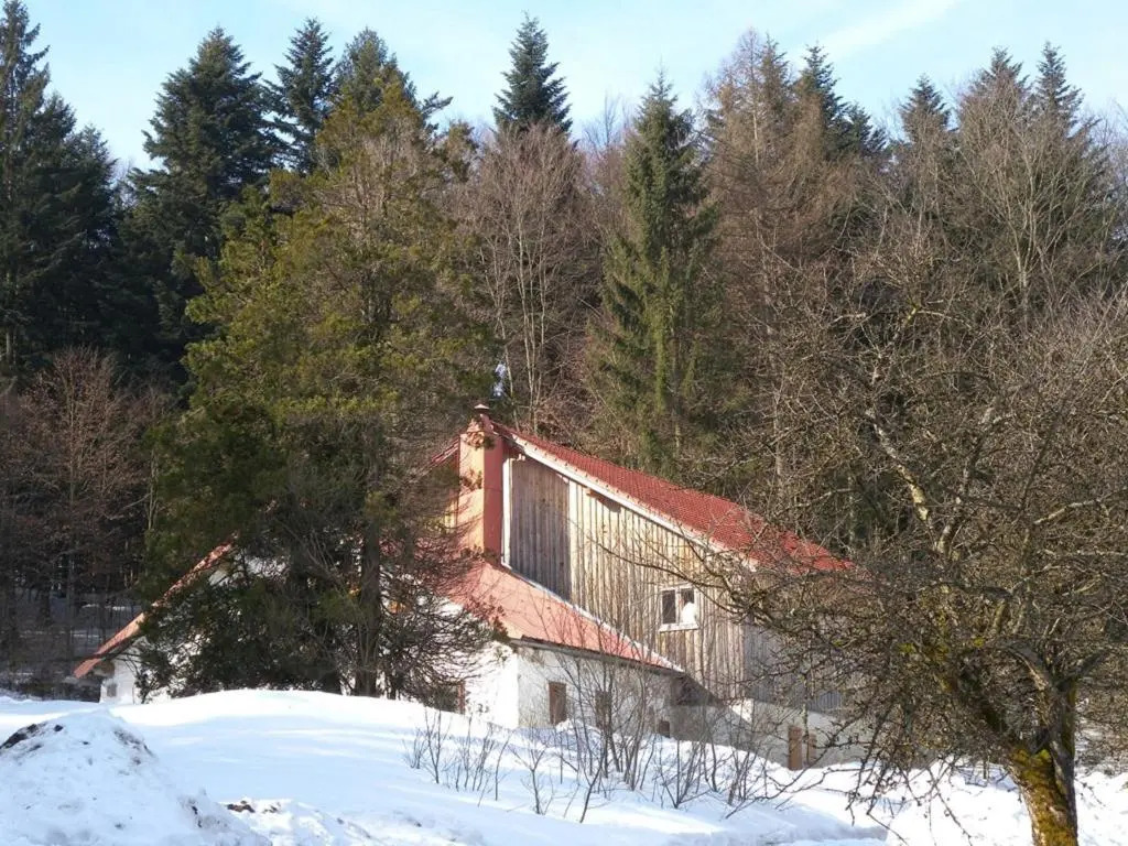 Grillnhäusl - Ruheoase in Alleinlage mit Sauna, Erlebnisstadl & Rehen vor der Haustür
