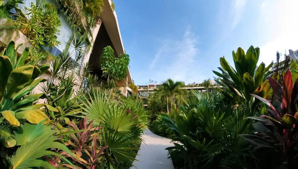 Quality And Class In The Heart Of Tulum Large Modern Studio 10 min From the Beach