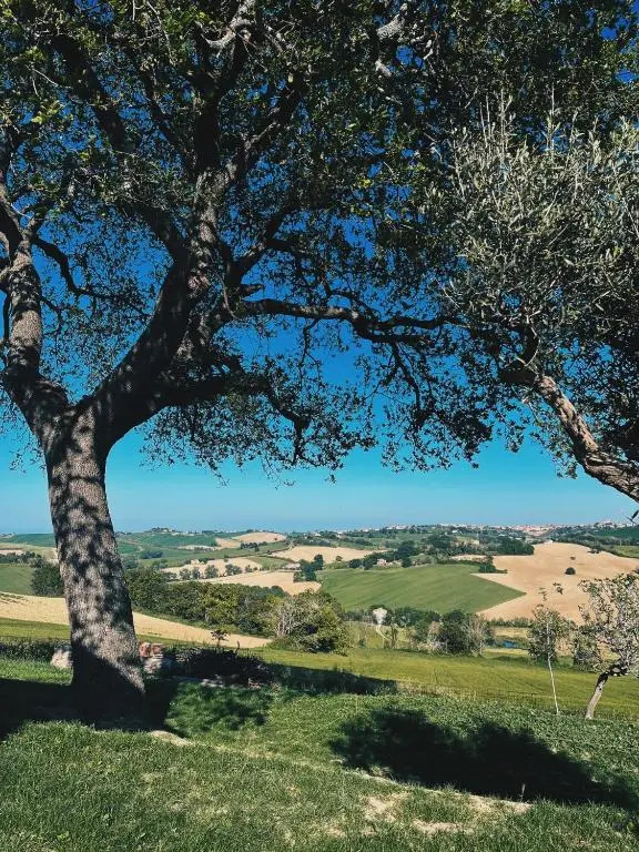 Casa Caminate - La Quercia 2