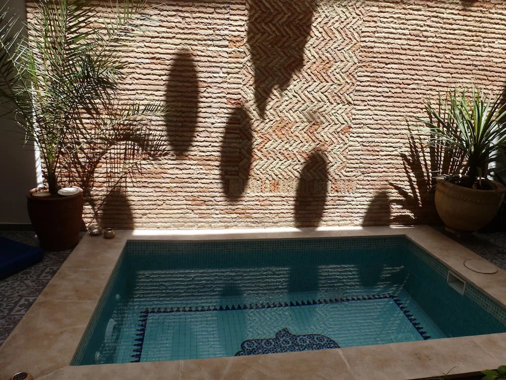 Riad Safina