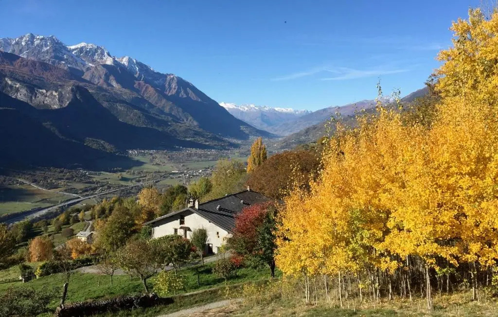 Appartamenti Maison Guyon