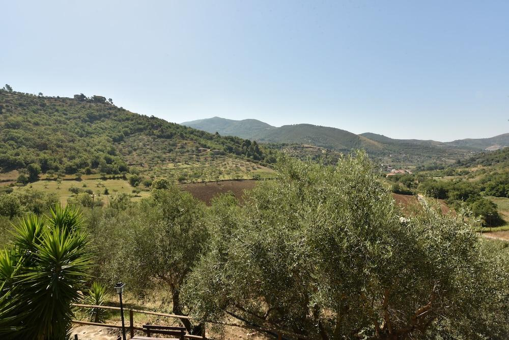 Agriturismo La Mimosa