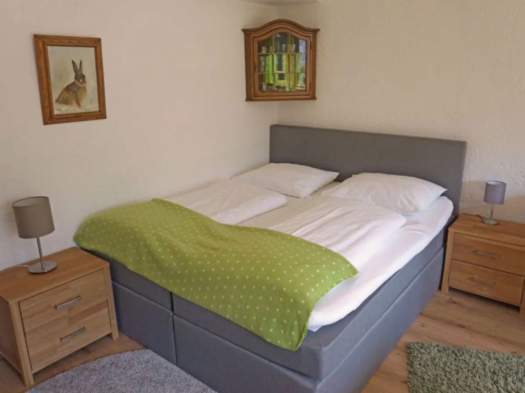 Birkenwald 25546