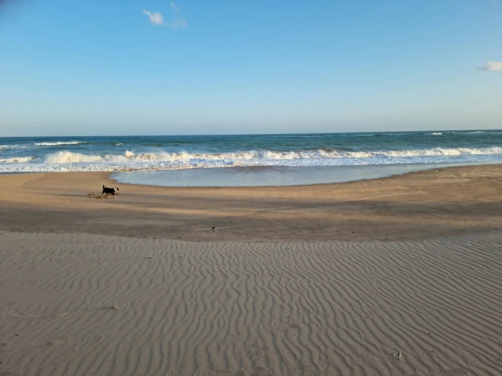 Arhimser Villa-superb 4 bedroom beachfront BB for 8 Ranna, Tangalle, pick up, serviced, taxes included