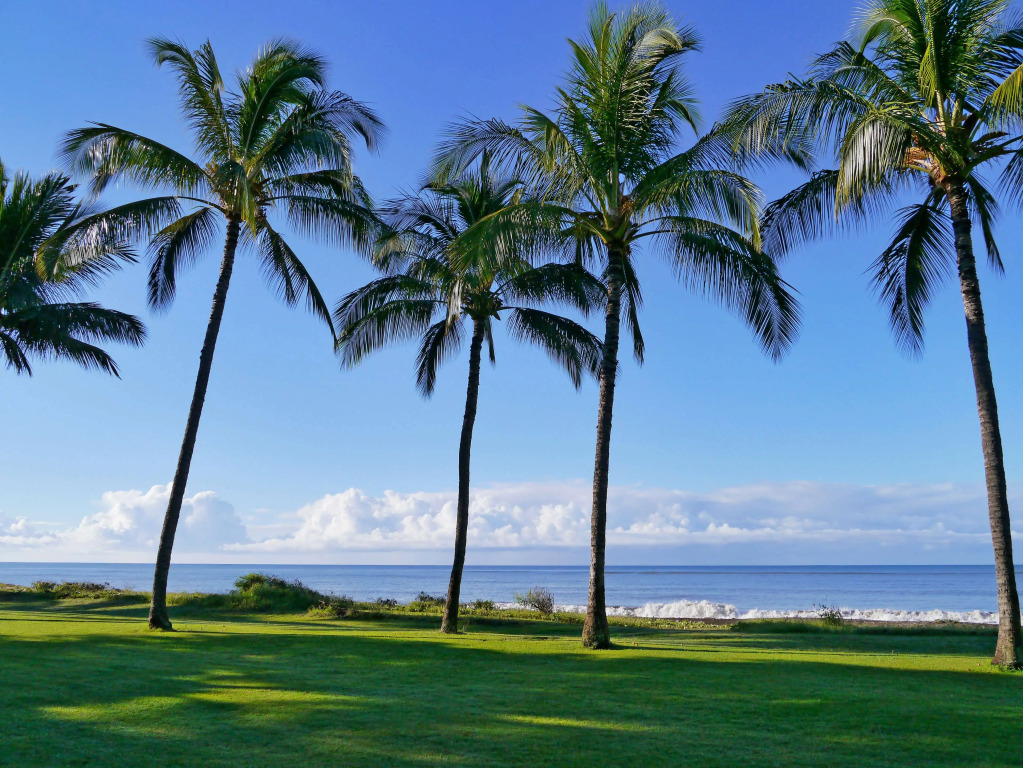 Waimea Plantation Cottages, a Coast Resort