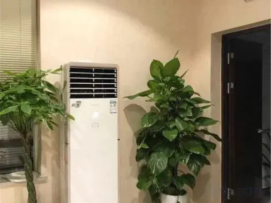 Zheli Fashionable Hotel