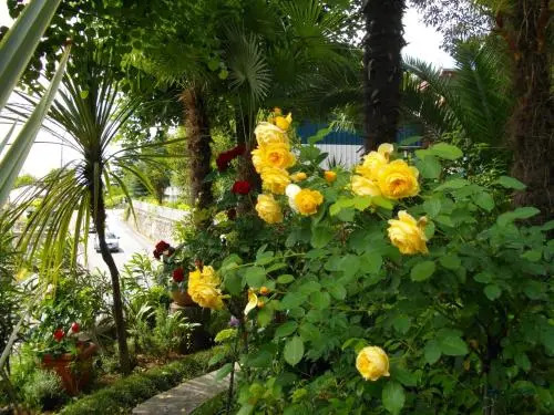 Apartmani Nives