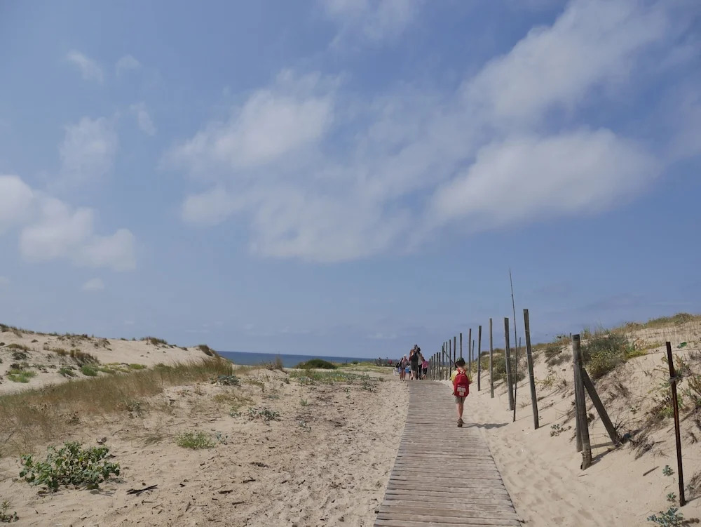 Les Dunes de Contis