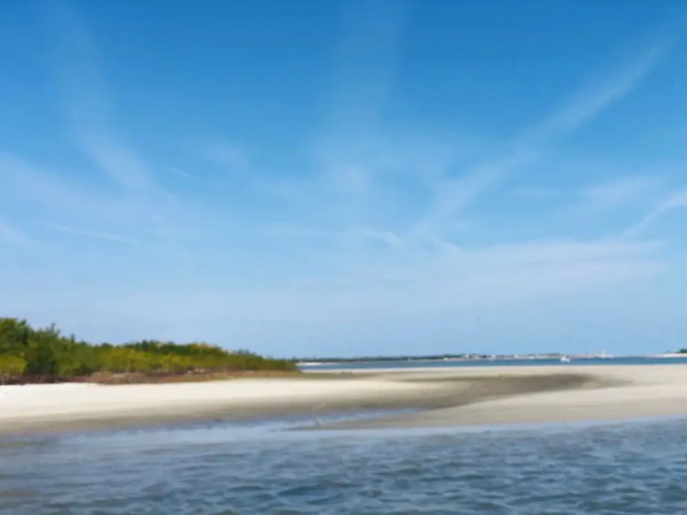 Zen Beach Retreat