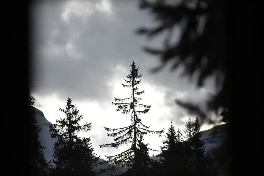 Haus Obdr Lech in Lech