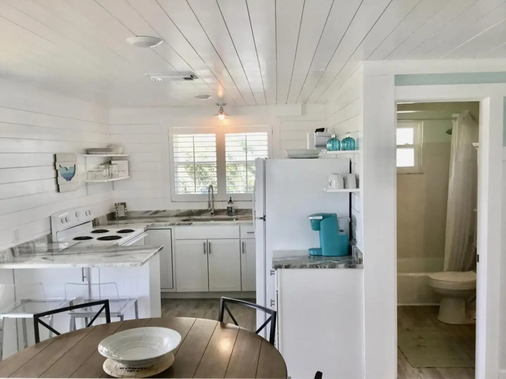 AMI Sand Dollar - 6403 B Holmes