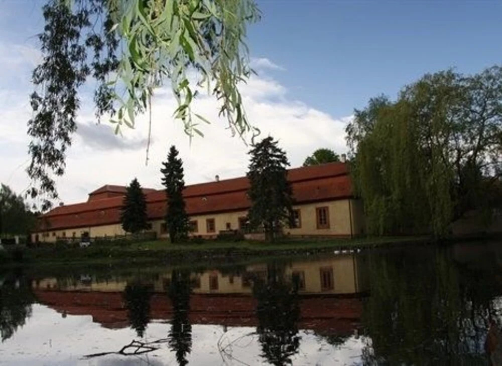 Dvůr Pecínov