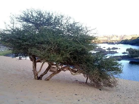 Nubian Beach