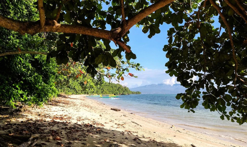 Panorama Backpackers