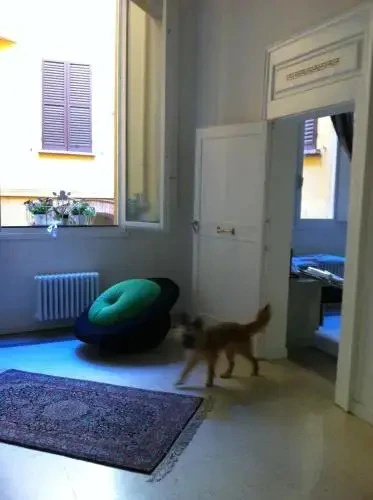 Bed In