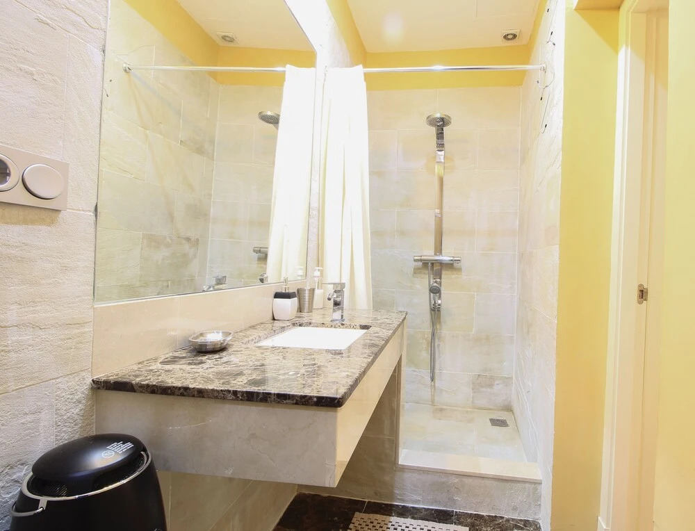 Deluxe apartment plaza de la encarnacion