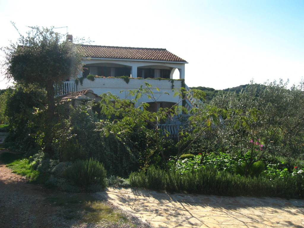 Studio apartment Lado - 230 m from sea: SA3 Muline, Island Ugljan