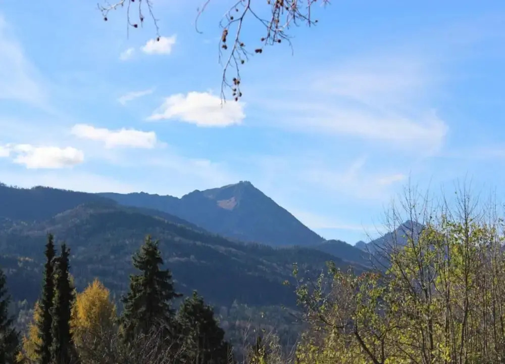 Holiday Apartment Siegsdorf in Bavaria