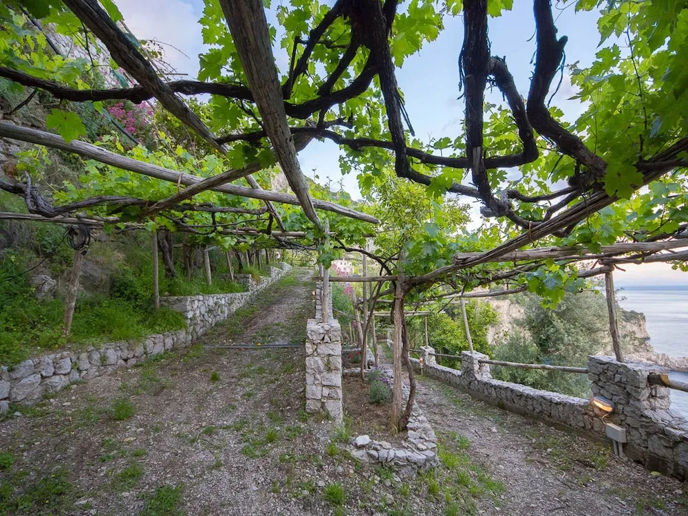 Cannaverde - Amalfi Coast Camp