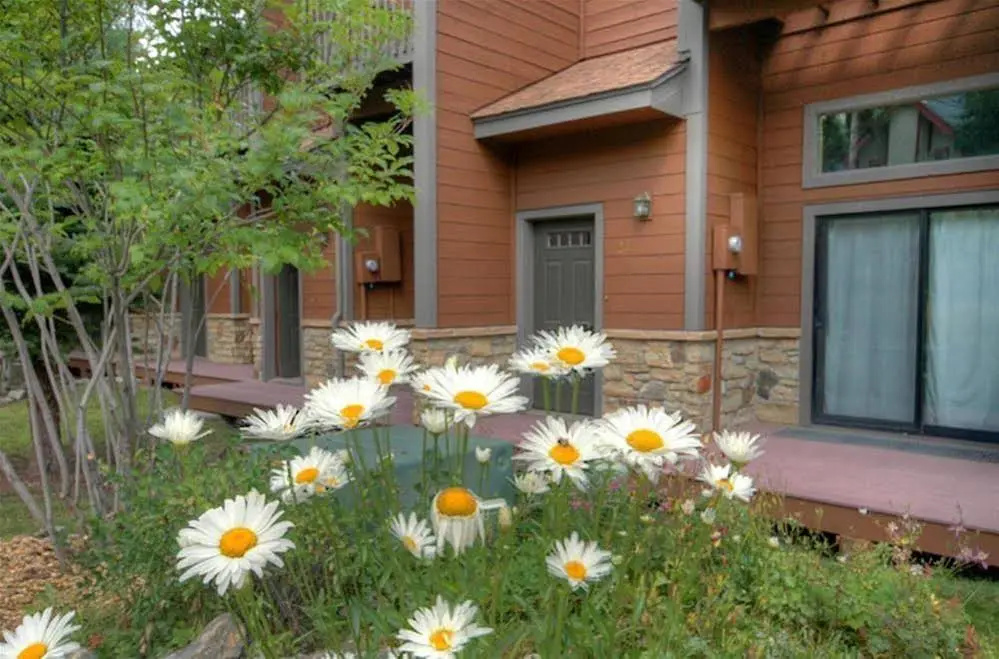 Winterpoint by Pinnacle Lodging