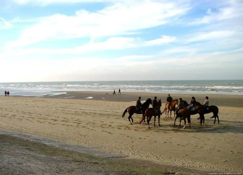 Luxbeach Apartment in Blankenberge