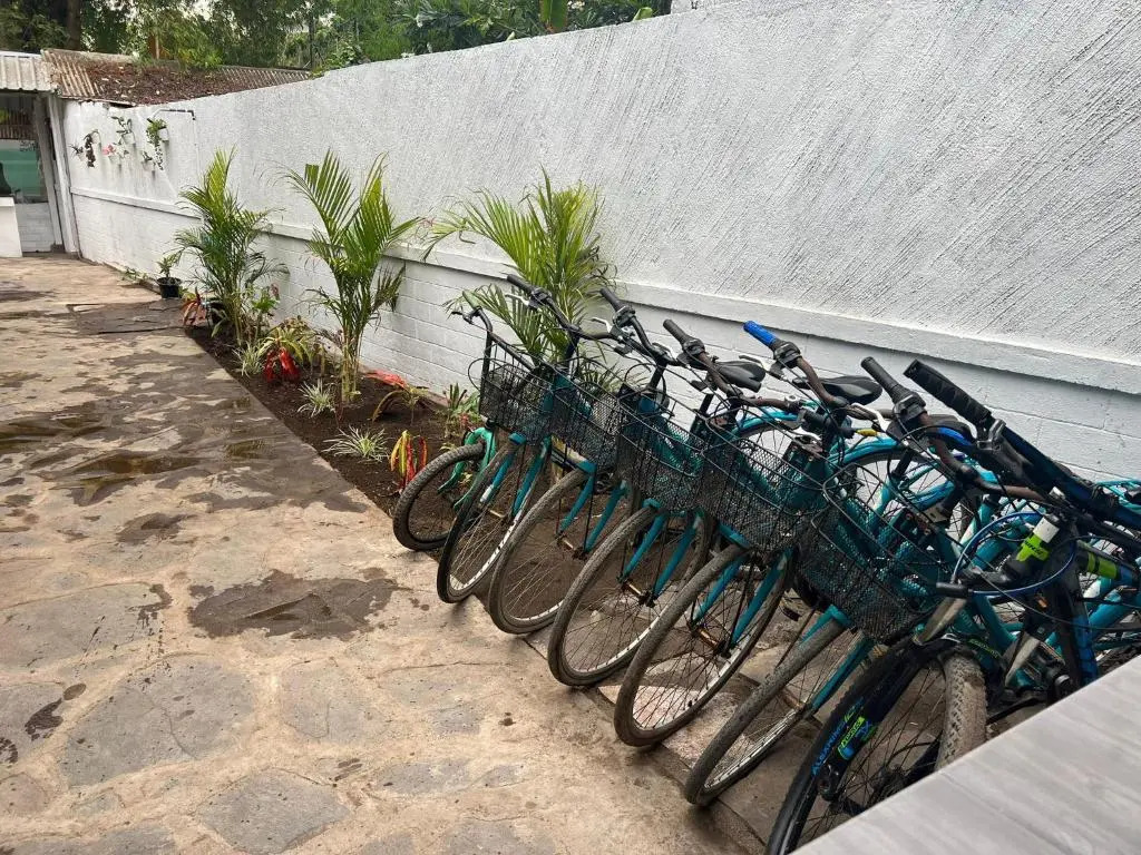 Gili Davidoff Bungalow