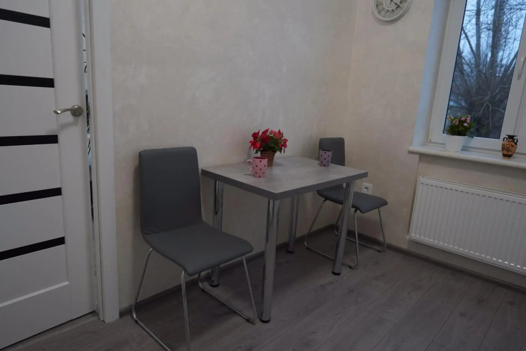 New cozy apartment near Opera House and “Malevich”