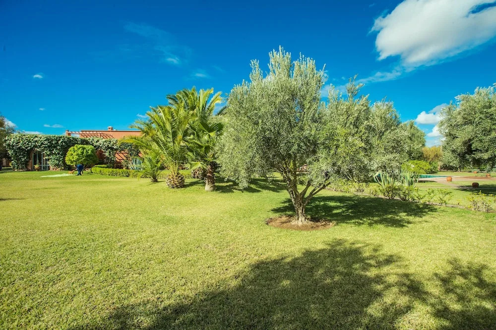 Villa les oliviers