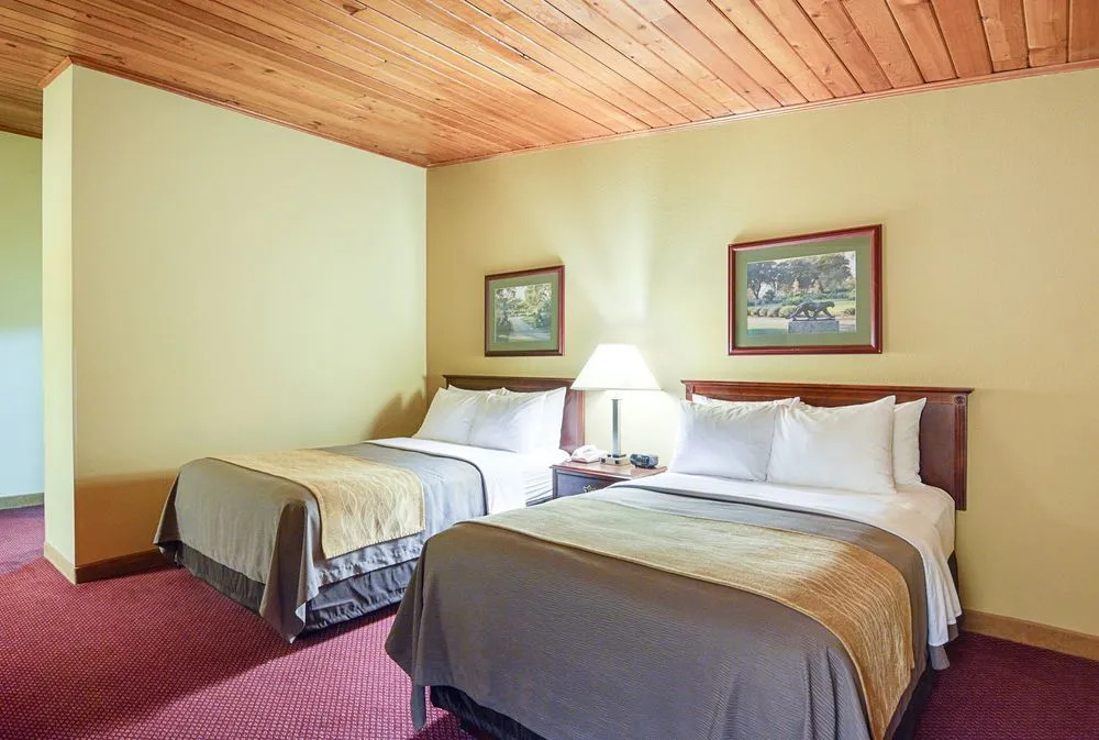 Comfort Inn