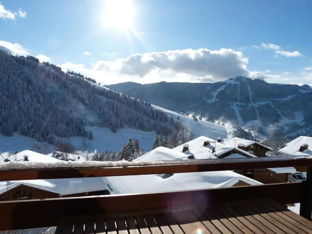 Appartement La Clusaz, 2 pièces, 6 personnes - FR-1-304-240