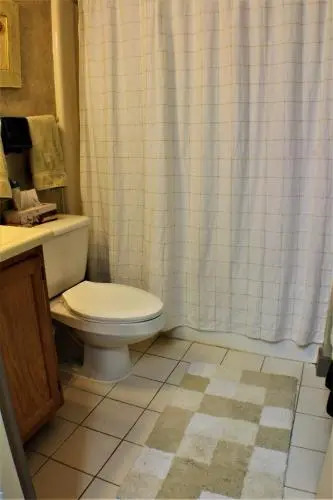 Ski home to this beautiful one bedroom condo with shuttle to Slopes Whiffletree E4