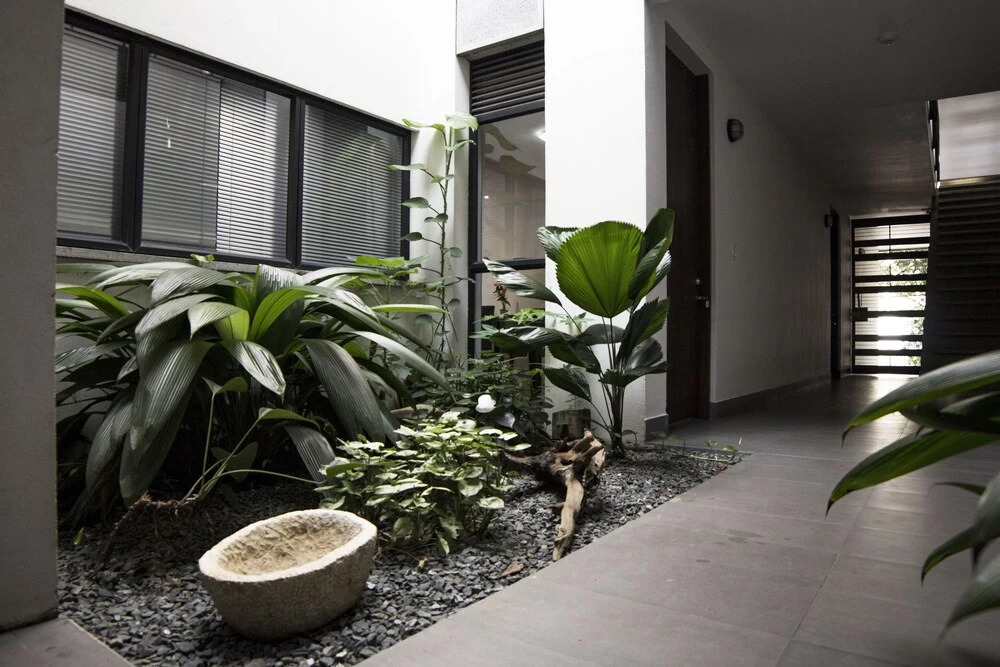 Aloja Apartamentos