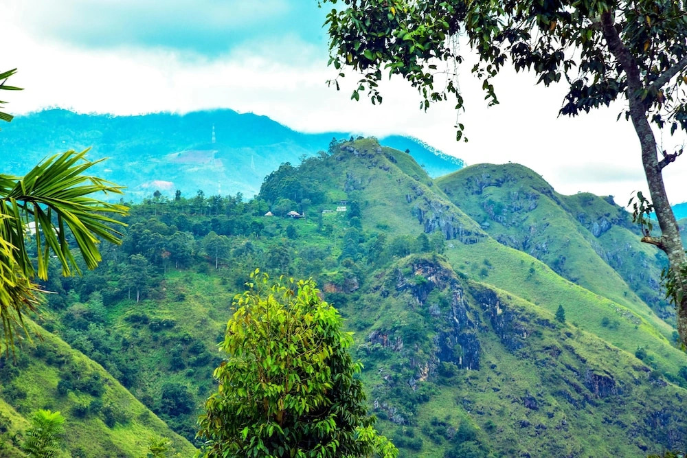 Ella Nimal Nest Inn