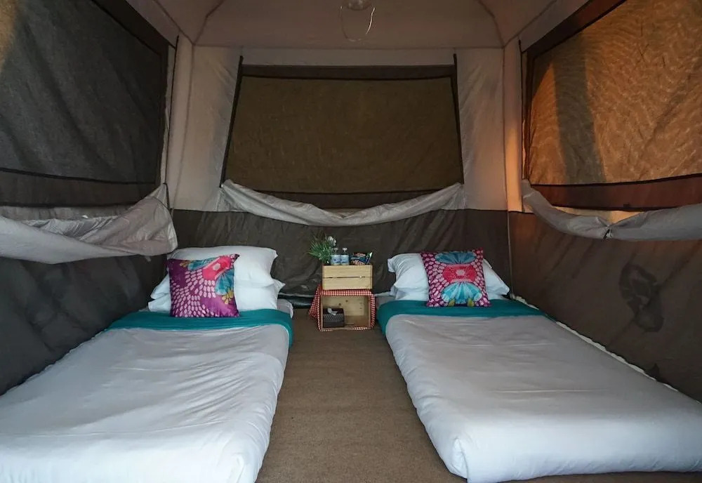 Singha Park Chiang Rai Camping