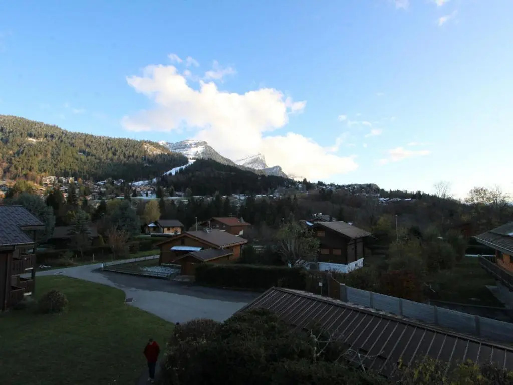 Appartement Les Carroz d'Arâches, 2 pièces, 4 personnes - FR-1-572-15