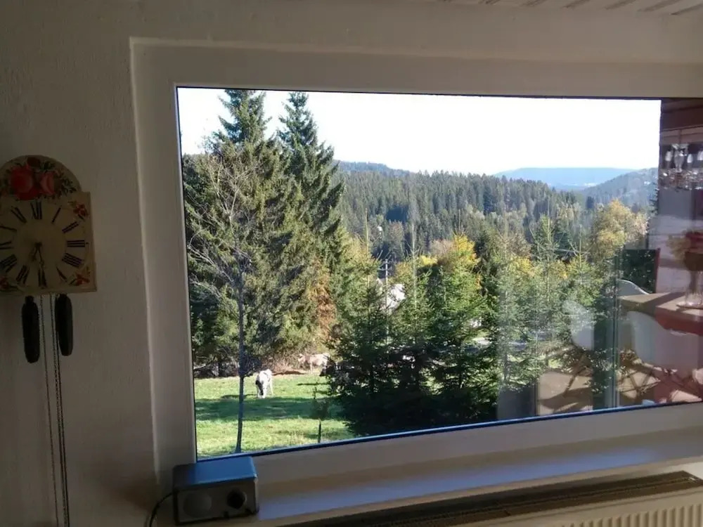 Pine Cones in the Haslehaus