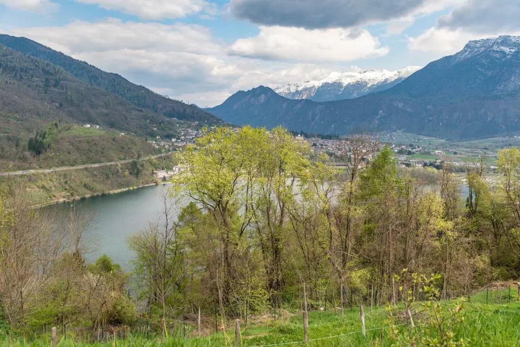 Villa Alberta