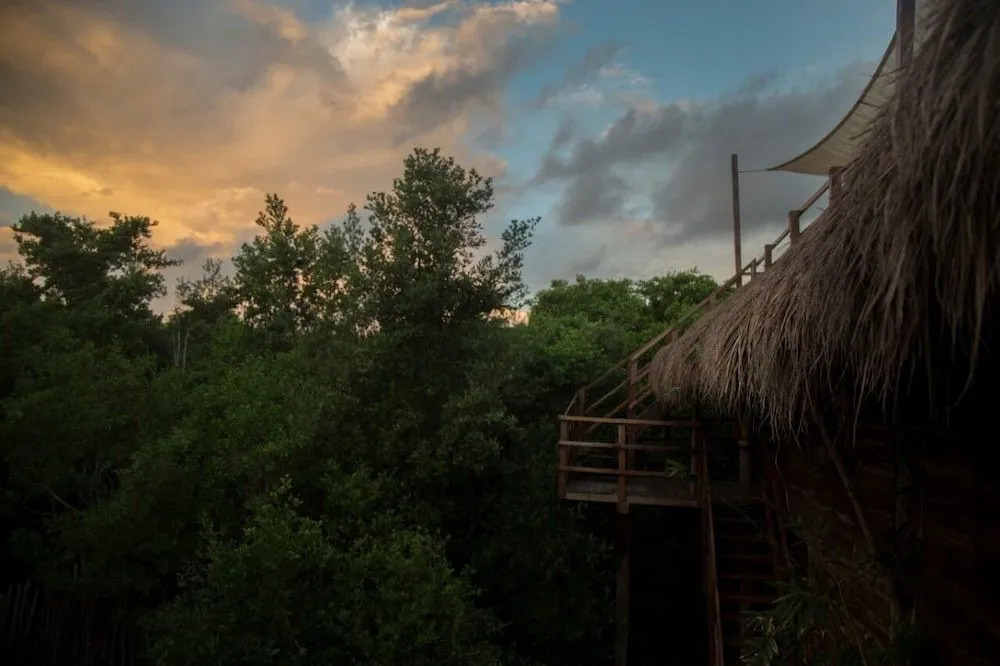 Amor Rooms