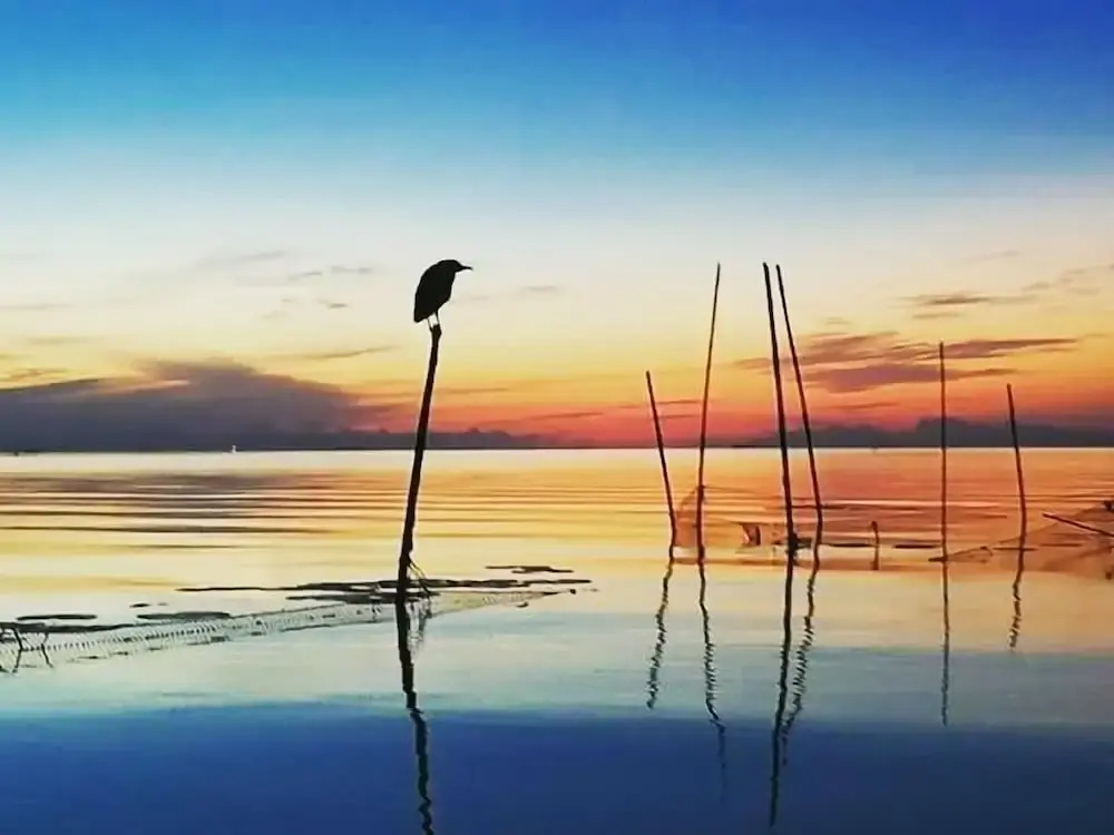 Lake House