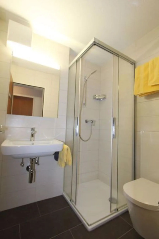 Apartment Amedee Saas-Fee 21794