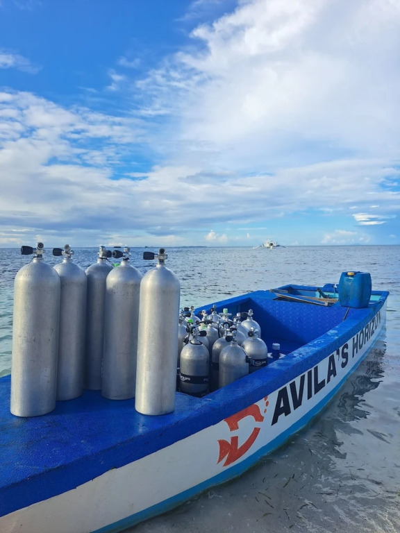 Avilas Horizon Dive Resort Malapascua