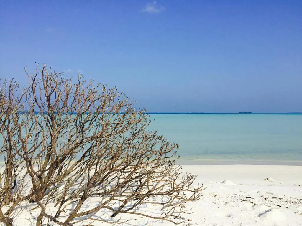 Fulidhoo Ihaa Lodge