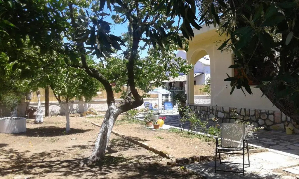 Lemon Garden