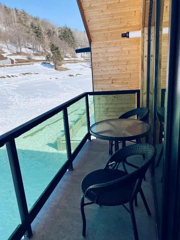Snow Forest Bakuriani Apartment 18
