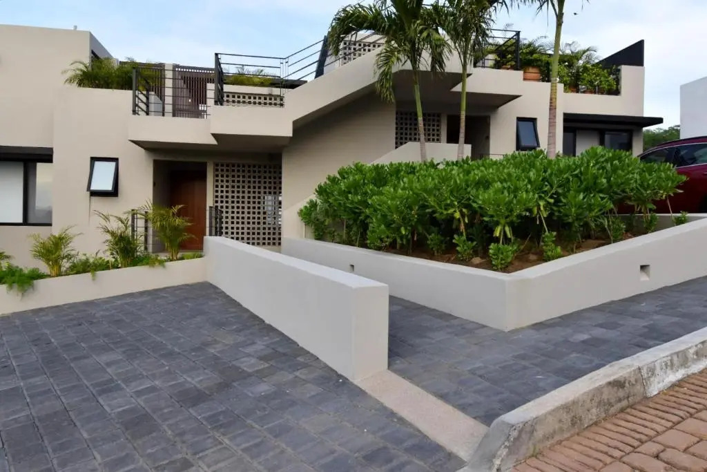 2078 - Agaves 204