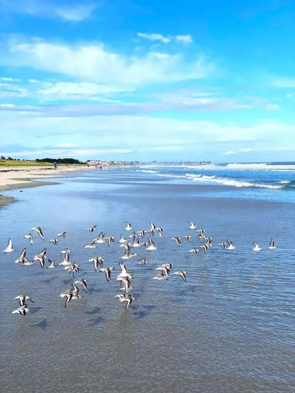 Ocean Acres Ogunquit
