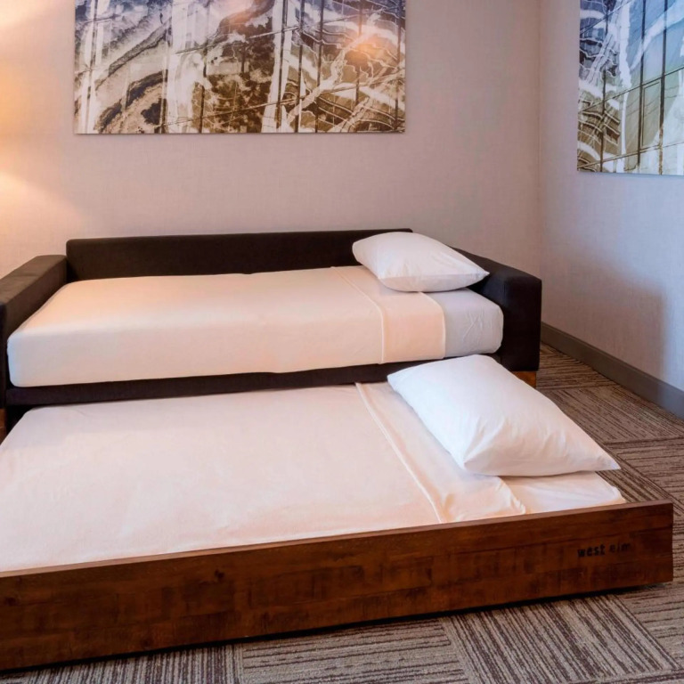 SpringHill Suites by Marriott Rochester-Mayo Clinic/St Marys