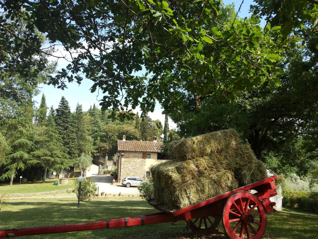 B&B Country House Poggio del Drago