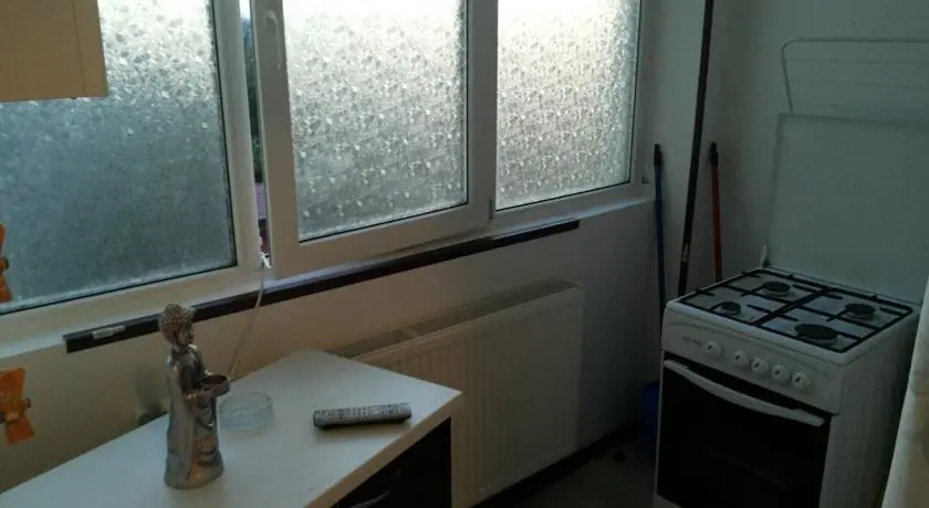 Happy Apartment Victoriei