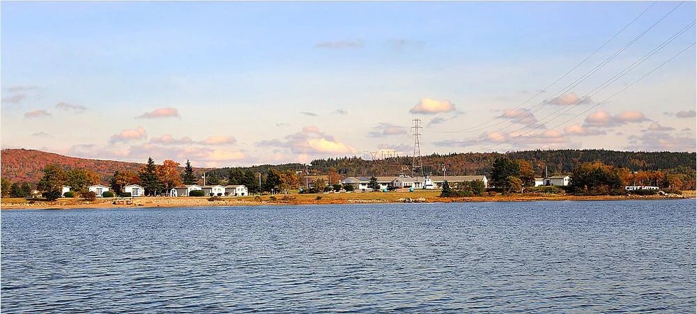 The Cove Cabins